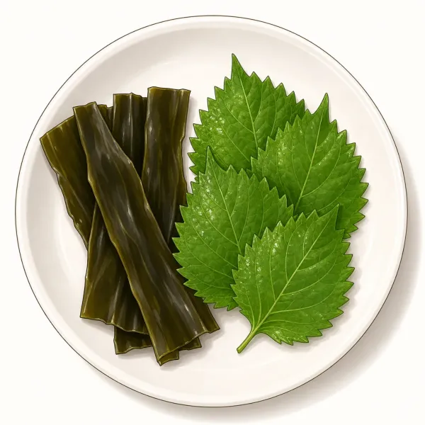 Kombu + shiso